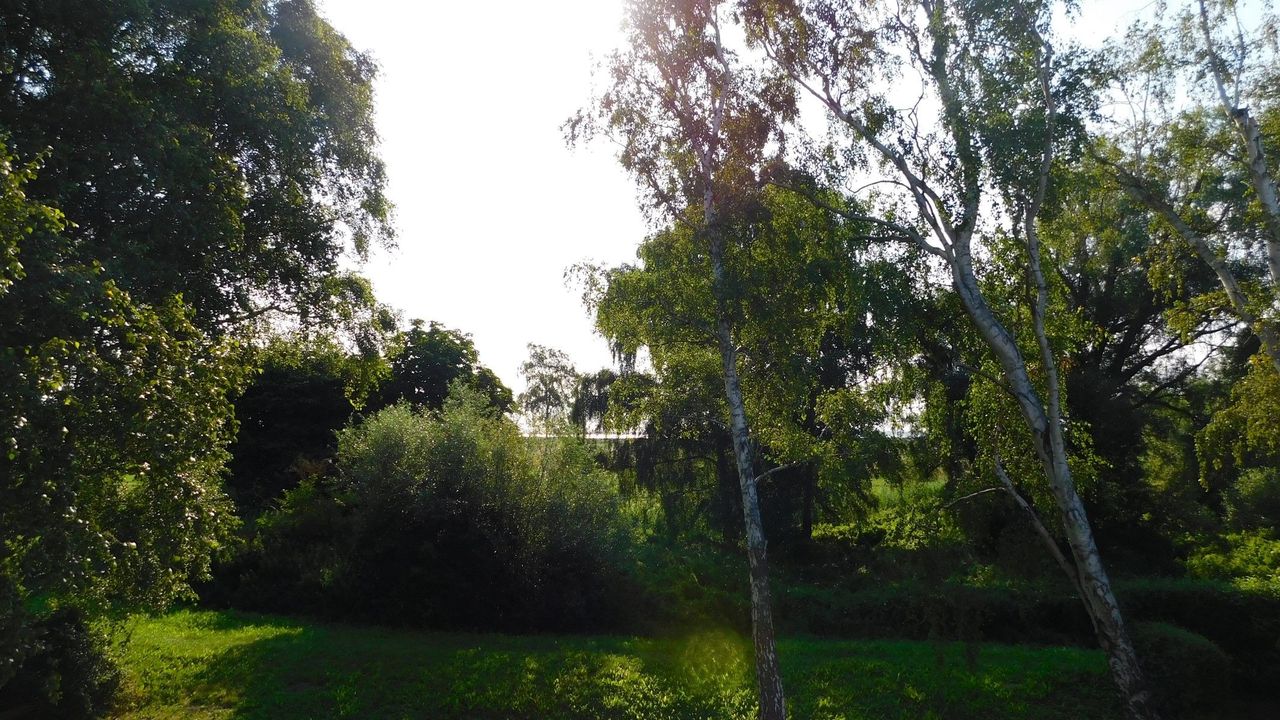 Gartenblick Gartenblick